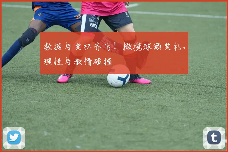 数据与奖杯齐飞！橄榄球颁奖礼，理性与激情碰撞